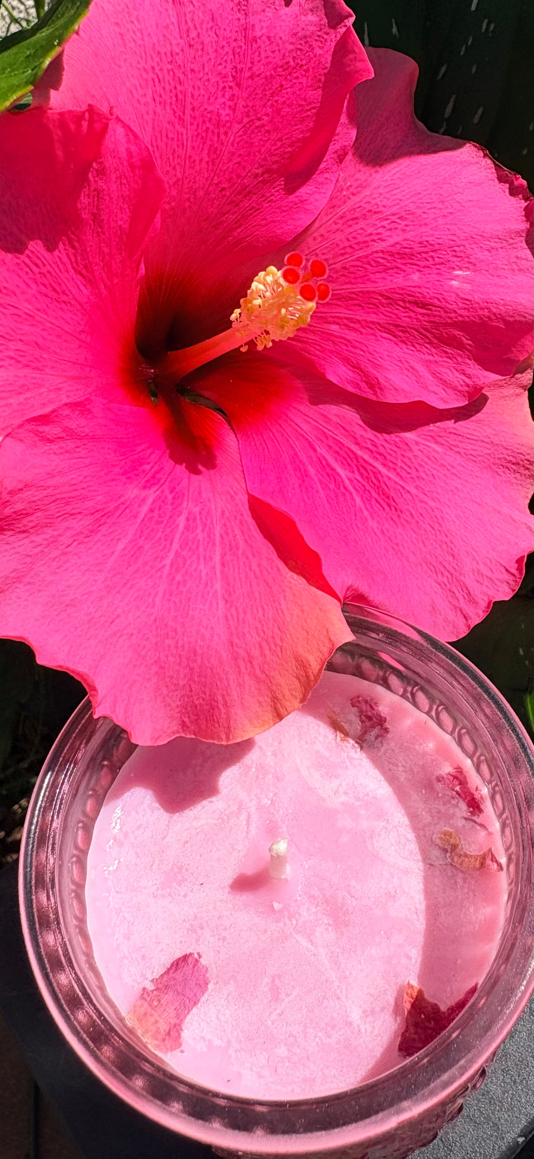 Peony