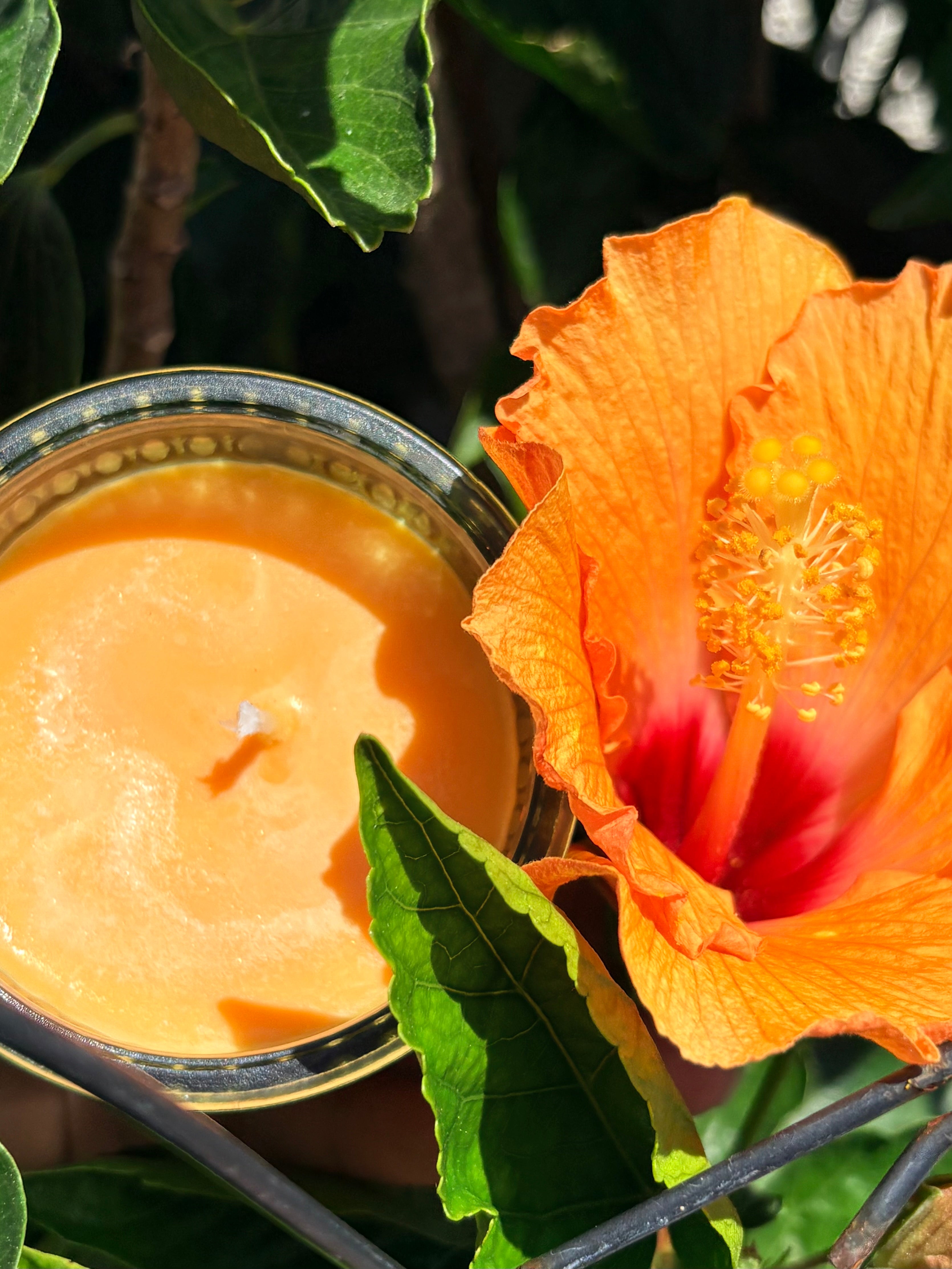 Orange Dreamsicle